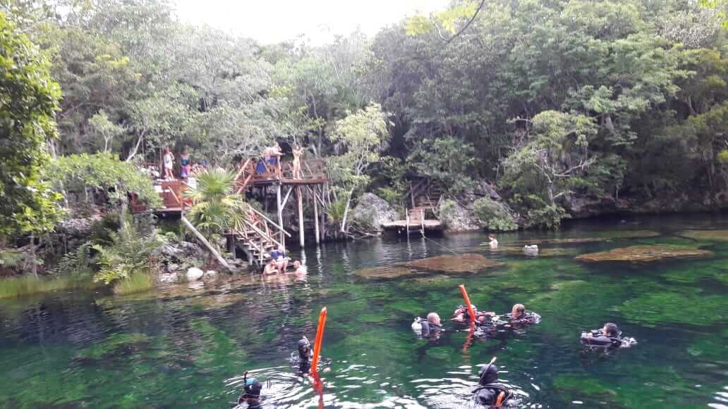 Group of customers snorkeling at a cenote